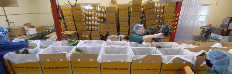 Workers packing fresh greens into local is delicious boxes at a food distribution warehouse