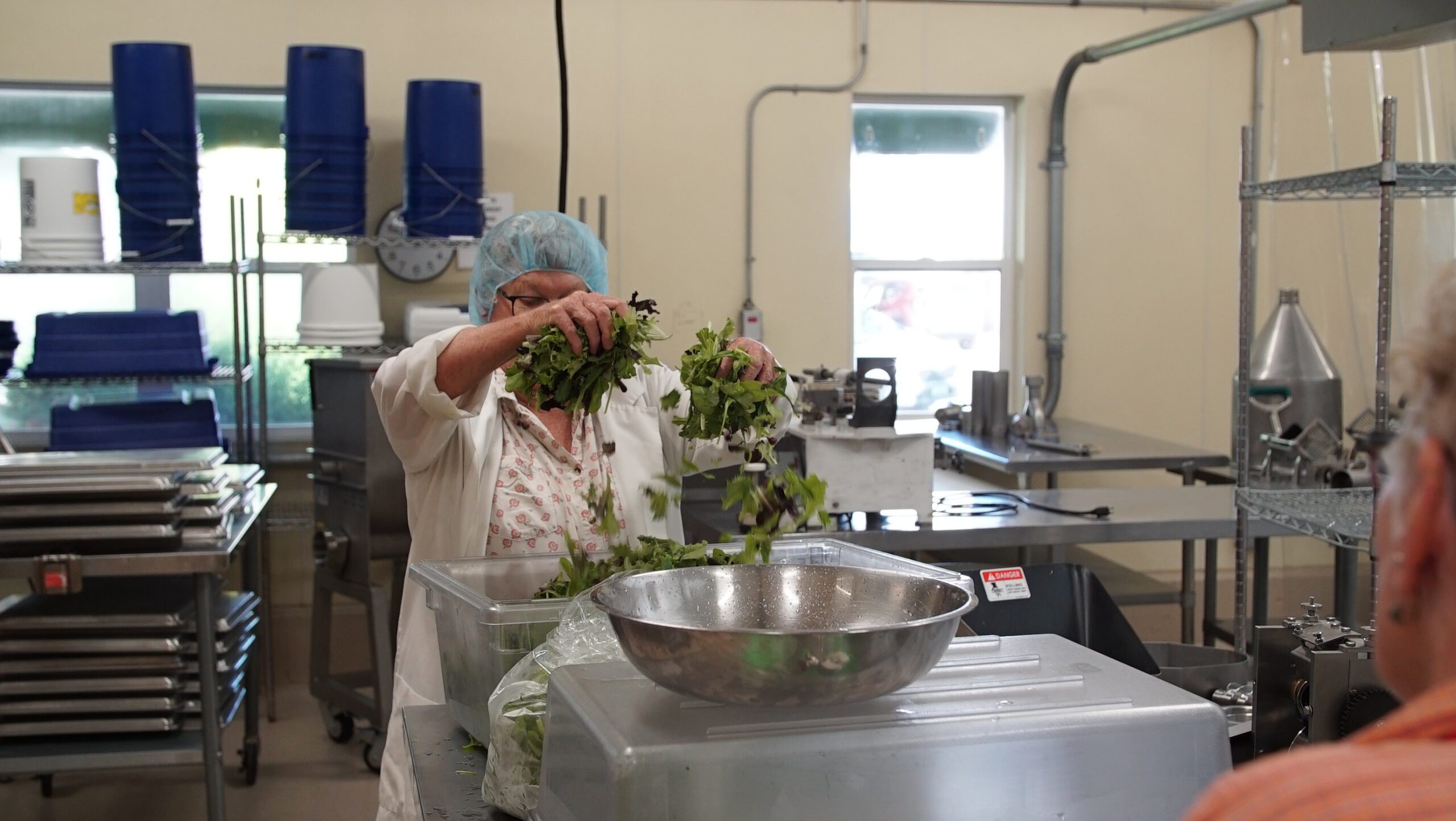 MMFEC staff member in a hairnet sorting fresh salad greens in the food processing facility