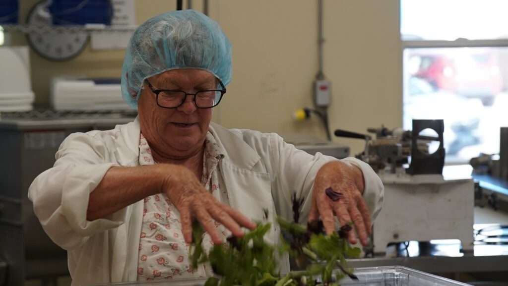 MMFEC staff member in a hairnet and coat sorting fresh greens in the food processing facility